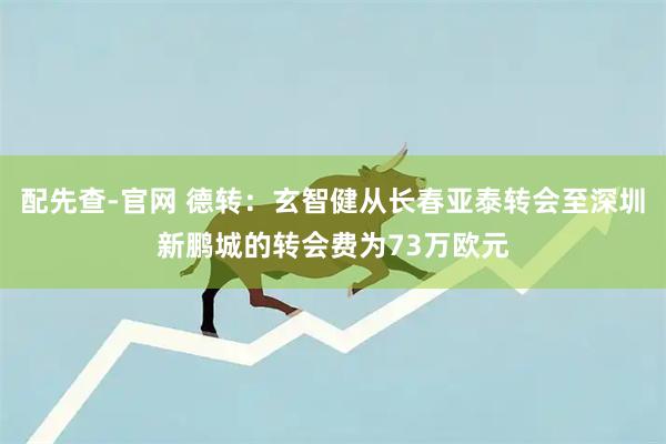 配先查-官网 德转：玄智健从长春亚泰转会至深圳新鹏城的转会费为73万欧元
