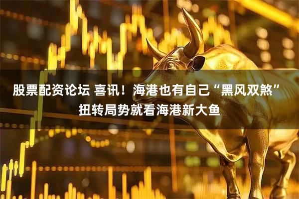 股票配资论坛 喜讯！海港也有自己“黑风双煞” 扭转局势就看海港新大鱼