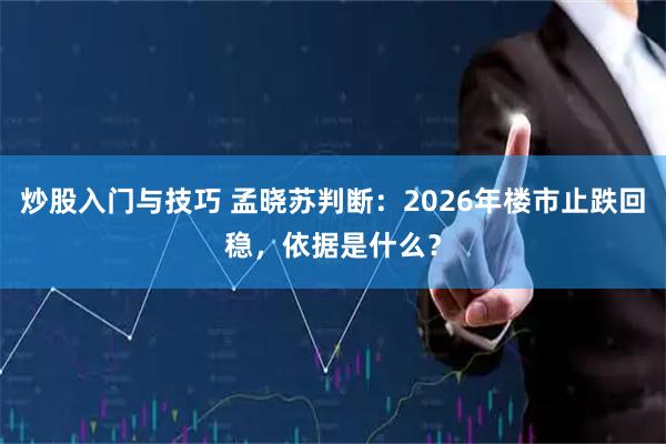 炒股入门与技巧 孟晓苏判断：2026年楼市止跌回稳，依据是什么？